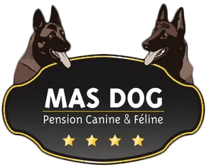 logo Mas Dog logo Mas Dog